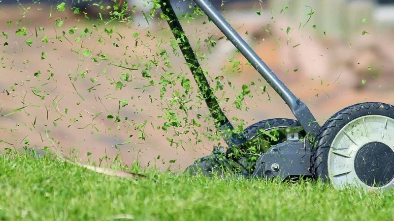 Kosiarki do poboczy gąsienicowe – nowoczesne rozwiązanie dla trudnych terenów